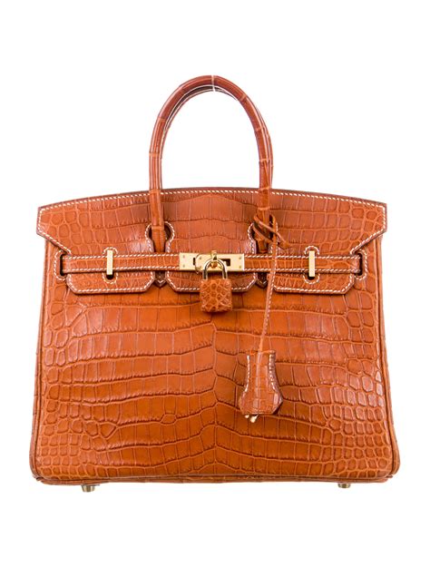 hermes niloticus crocodile